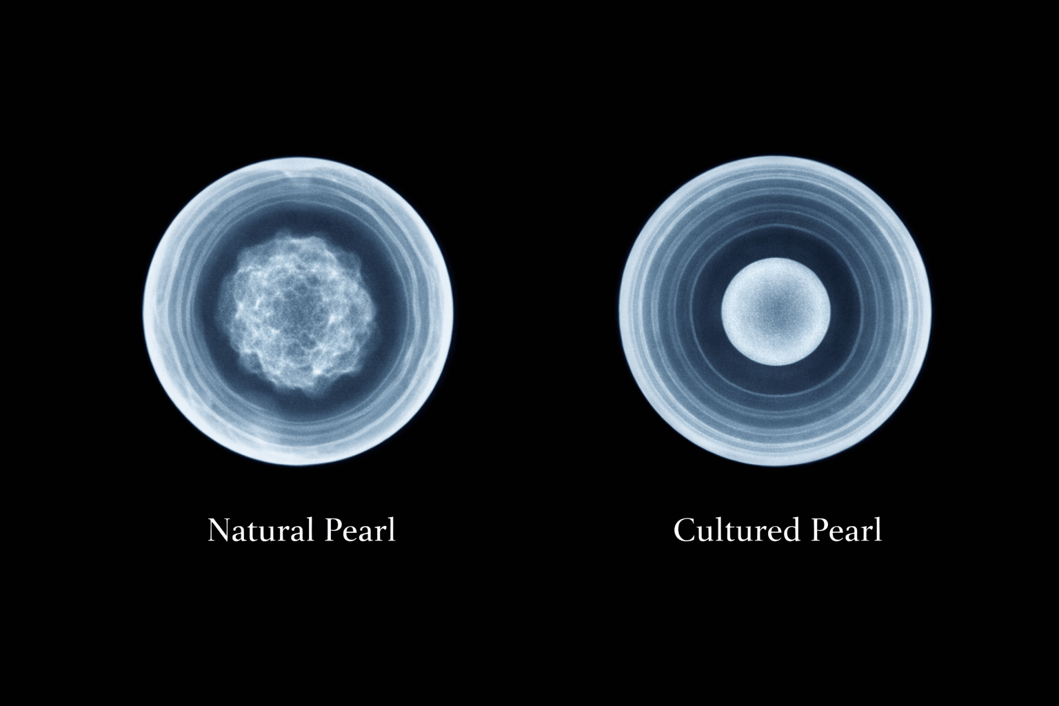 pearlsonly-blog-110-image-3-pearl - Cómo distinguir naturales de cultivadas - Joyería de Perlas - pearlsonly