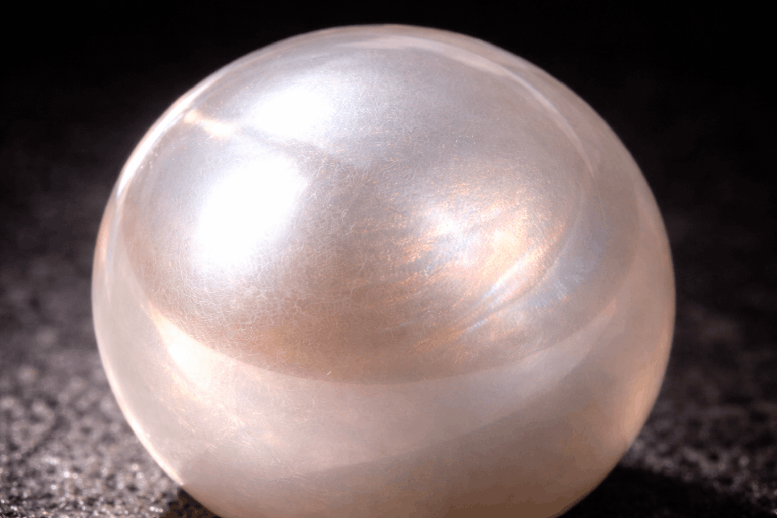 02. El proceso de formación paso a paso