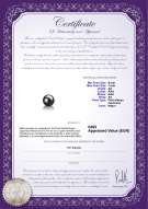 product certificate: AK-B-AA-67-L1