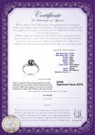product certificate: AK-B-AAA-67-R-Andrea