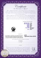 product certificate: AK-B-AAA-78-L1