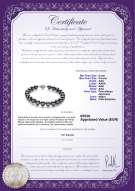 product certificate: AK-B-AAA-89-B