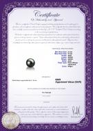 product certificate: AK-B-AAA-89-L1