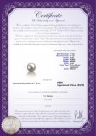 product certificate: AK-W-AAA-78-L1