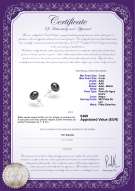 product certificate: B-78-E