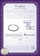 product certificate: B-A-78-N