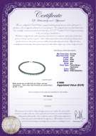 product certificate: B-AA-657-N-Akoy