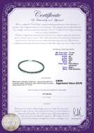 product certificate: B-AA-758-N-Akoy