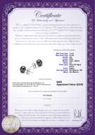 product certificate: B-AA-78-E-SS-14K-WGP