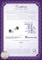 product certificate: B-AA-78-E-SS