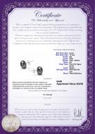 product certificate: B-AA-910-E-SS