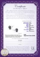 Certificado de producto: B-AA-910-E-SS