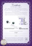 product certificate: B-AAA-758-E-Akoy