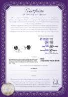 product certificate: B-AAAA-67-E