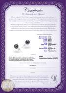 Certificado de producto: B-AAAA-78-E