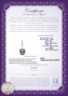 product certificate: B-Fresh-Pend-S-910-Enhancer