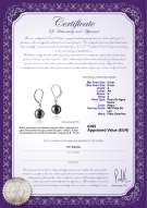 Certificado de producto: FW-B-A-89-E-Kaitlyn