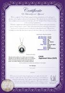 product certificate: FW-B-AA-1213-P-Judith