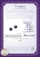 product certificate: FW-B-AA-78-E-Louisa