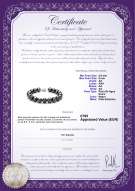 product certificate: FW-B-AA-89-B