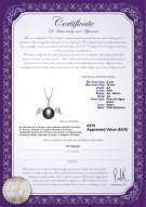 Certificado de producto: FW-B-AA-910-P-Angel