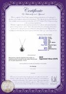 product certificate: FW-B-AA-910-P-Kelly