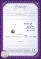product certificate: FW-B-AA-910-P-Rocio