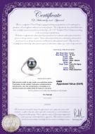 product certificate: FW-B-AA-910-R-Chantel