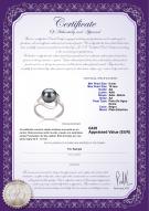 product certificate: FW-B-AA-910-R-Sadie