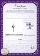 product certificate: FW-B-AAA-89-P-Key