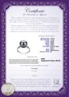 product certificate: FW-B-AAAA-1011-R-Oana