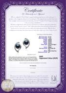 product certificate: FW-B-AAAA-67-E-Lilia