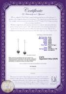Certificado de producto: FW-B-AAAA-67-E-Misha