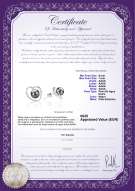 Product certificate: FW-B-AAAA-67-E-Winna