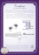 product certificate: FW-B-AAAA-67-E-Zorina