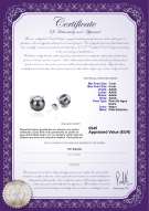 product certificate: FW-B-AAAA-78-E-Britt