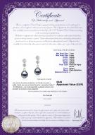 product certificate: FW-B-AAAA-78-E-Colleen