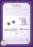 product certificate: FW-B-AAAA-78-E-Natasha