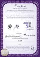 product certificate: FW-B-AAAA-78-E-Raina