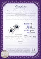 product certificate: FW-B-AAAA-78-E-SunFlower