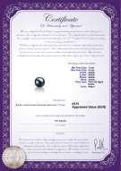 product certificate: FW-B-AAAA-78-L1