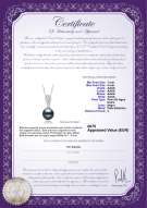 product certificate: FW-B-AAAA-78-P-Daria