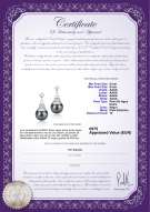 product certificate: FW-B-AAAA-89-E-Eiffer-Tower