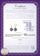 Certificado de producto: FW-B-AAAA-89-E-Elements