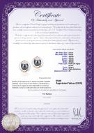 product certificate: FW-B-AAAA-89-E-Zina