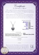Certificado de producto: FW-B-AAAA-89-P-Nerea