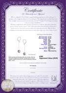 product certificate: FW-L-AA-89-E-Amy