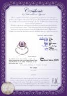 product certificate: FW-L-AA-910-R-Sadie