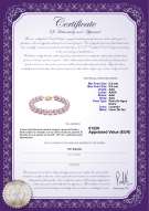 product certificate: FW-L-AAA-8595-B