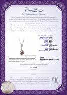 product certificate: FW-L-AAA-910-P-Clementina